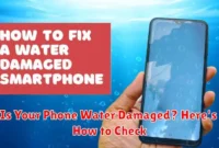 Is Your Phone Water Damaged? Here's How to Check